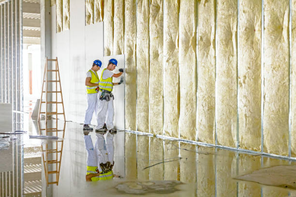 Best Residential Insulation in , ND
